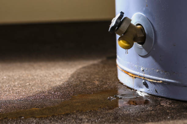 Best Ceiling water damage repair  in Meeker, OK