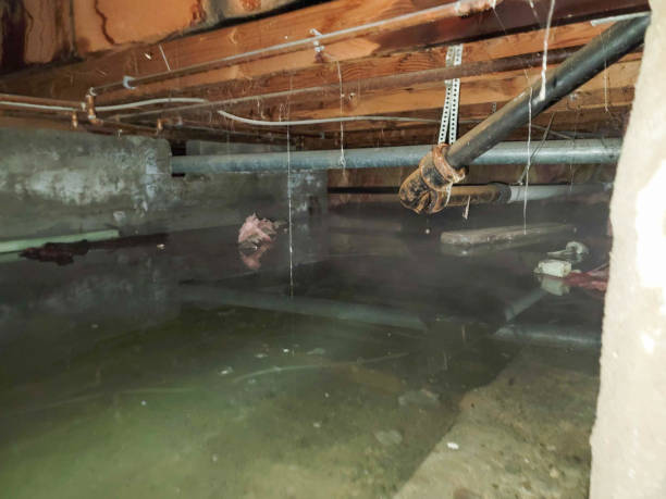 Reliable OK Water damage restoration Solutions