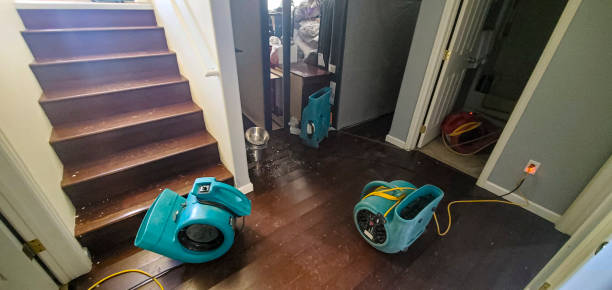 Best Basement water damage restoration  in Meeker, OK
