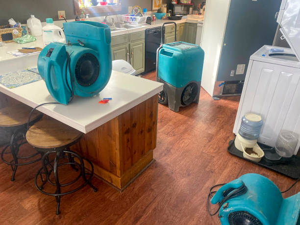 Best Water damage restoration experts  in Meeker, OK