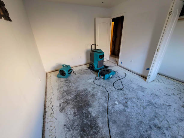 Best Water damage restoration near me  in Meeker, OK