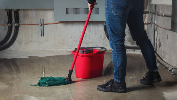 Best Mold removal after water damage  in Meeker, OK