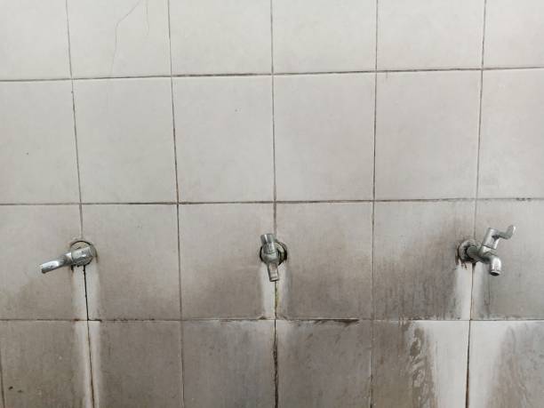 Best Carpet water damage restoration  in Meeker, OK