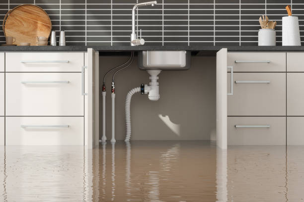 Best Water damage restoration specialists  in Meeker, OK
