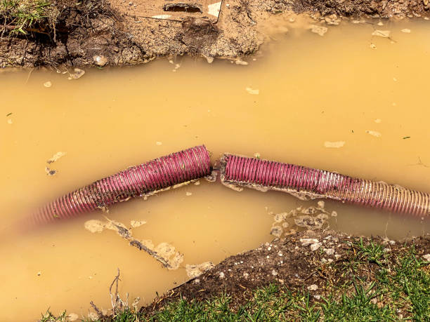 Best Emergency water extraction  in Meeker, OK